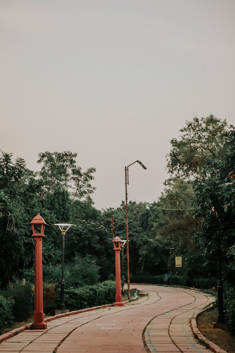 Paved Road With Street Lamps In A Park 