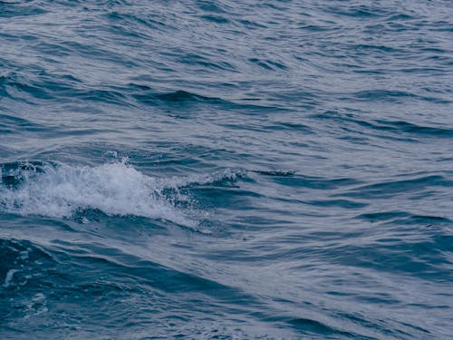 Foto d'estoc gratuïta de aigua, mar, oceà