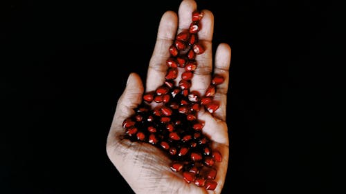 Ilmainen kuvapankkikuva tunnisteilla granaattiomena, hedelmä, käsi
