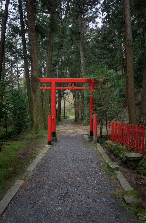 Základová fotografie zdarma na téma červená, dveře, Japonsko