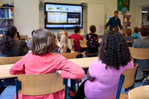 Kostenloses Stock Foto zu ausbildung, klassenzimmer, schule