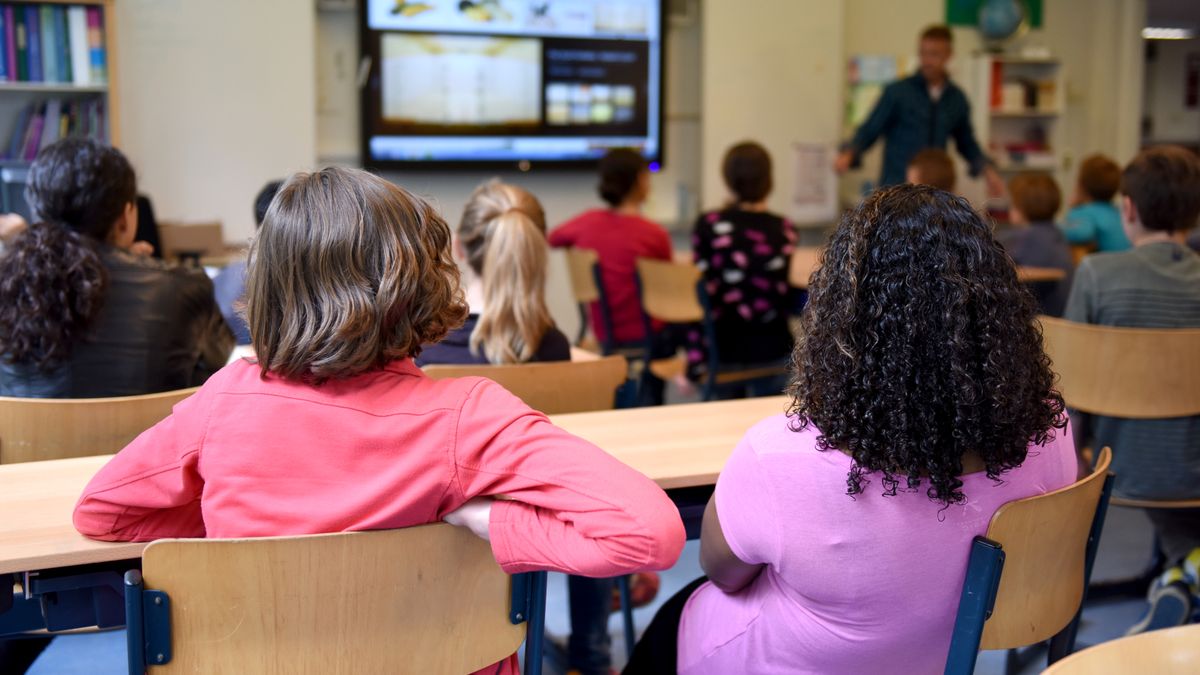 Students attentively watching a lesson on a smart board in a colorful Dutch classroom.
