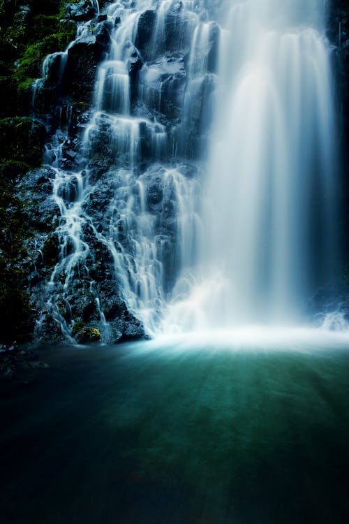 Бесплатное стоковое фото с pnw, белая вода, вода