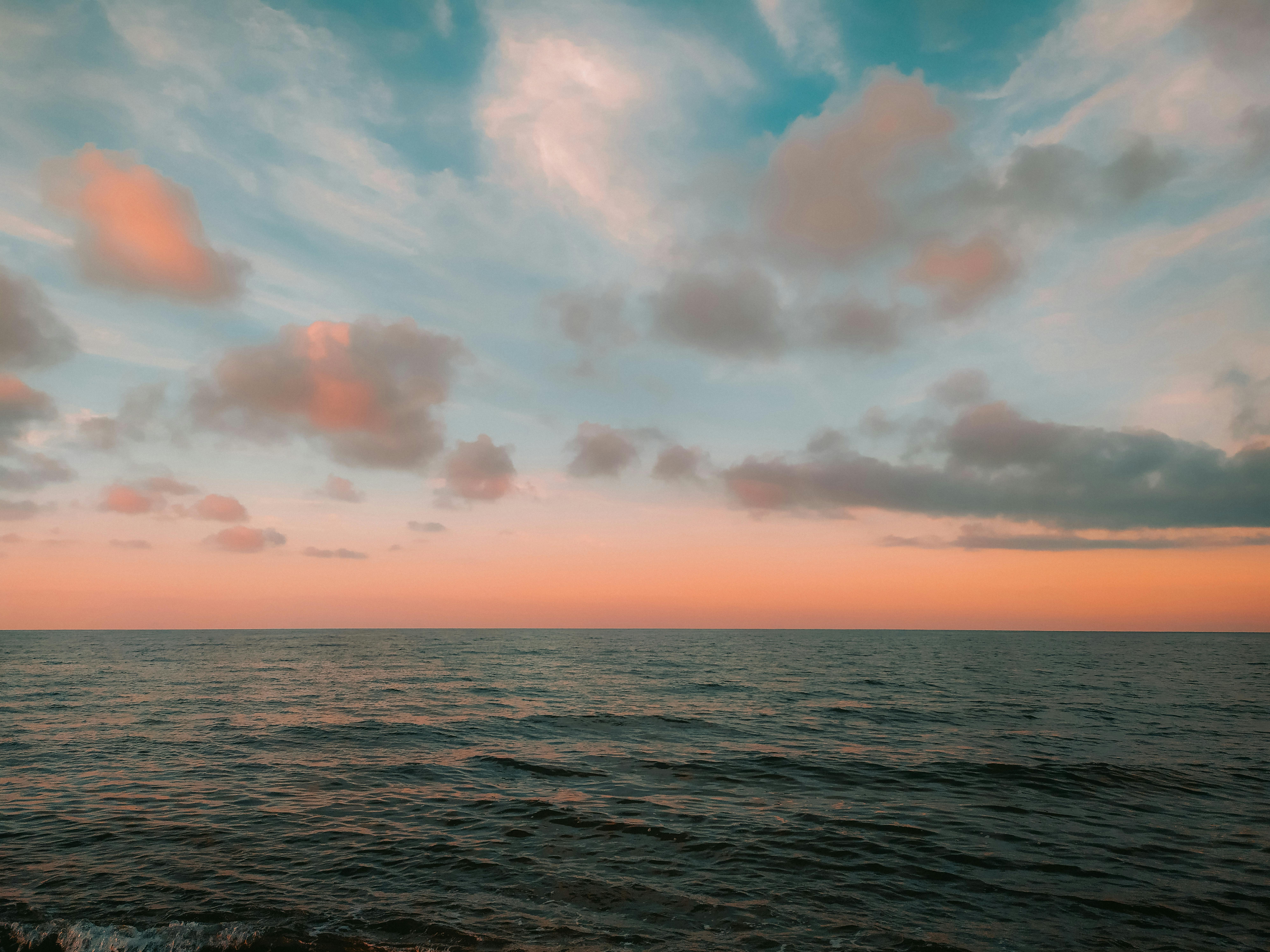 Thé Culotte P.V.C 110 2