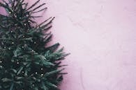 一棵装饰精美的圣诞树，在纹理丰富的粉红色墙壁映衬下，构成了完美的节日背景