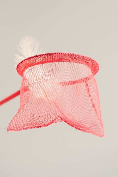 Pink Net with White Feather