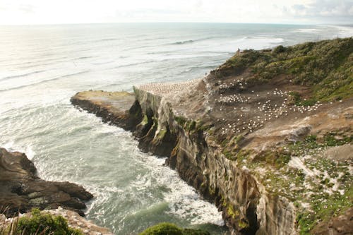 Vue Panoramique Sur L'océan