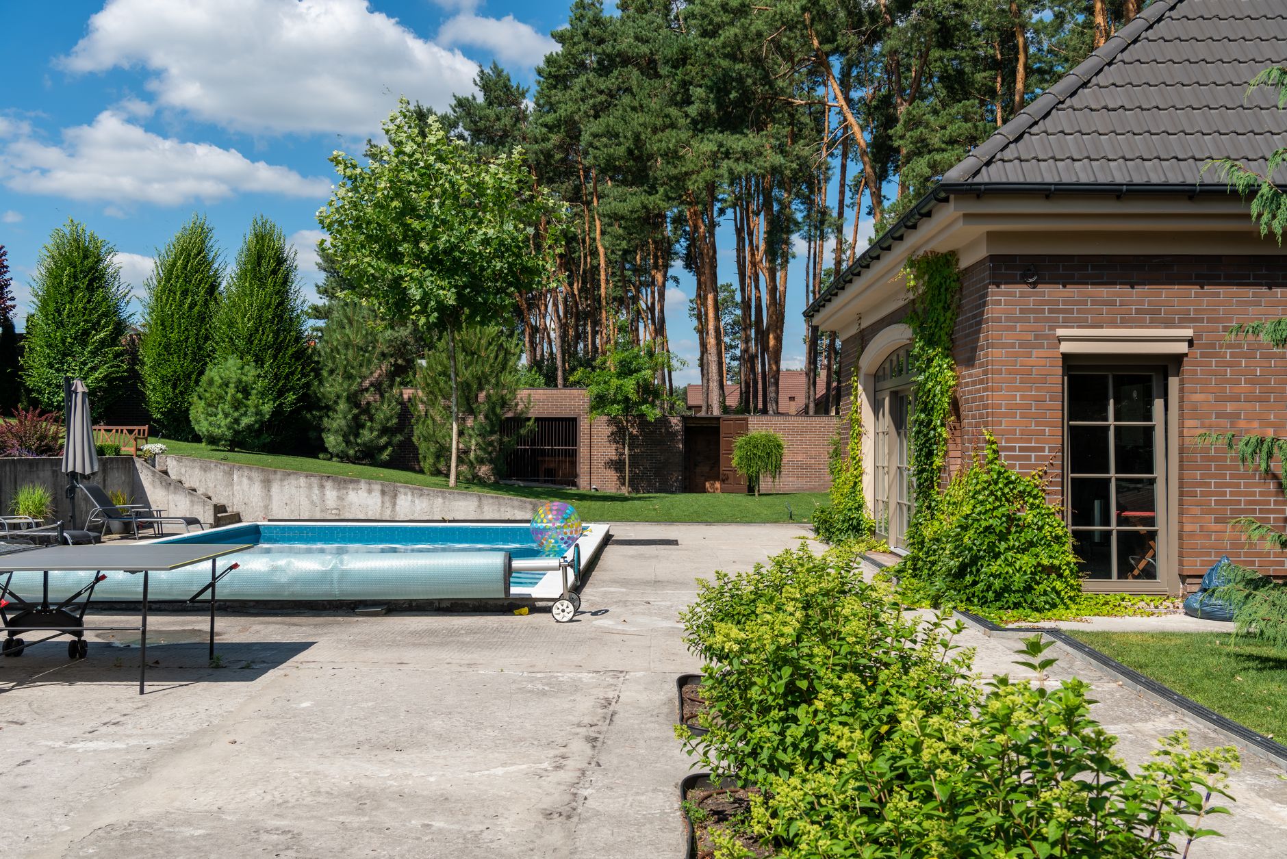 From Pool to Paradise: Landscaping and Privacy Screening for Carolina Backyards