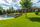 lawn