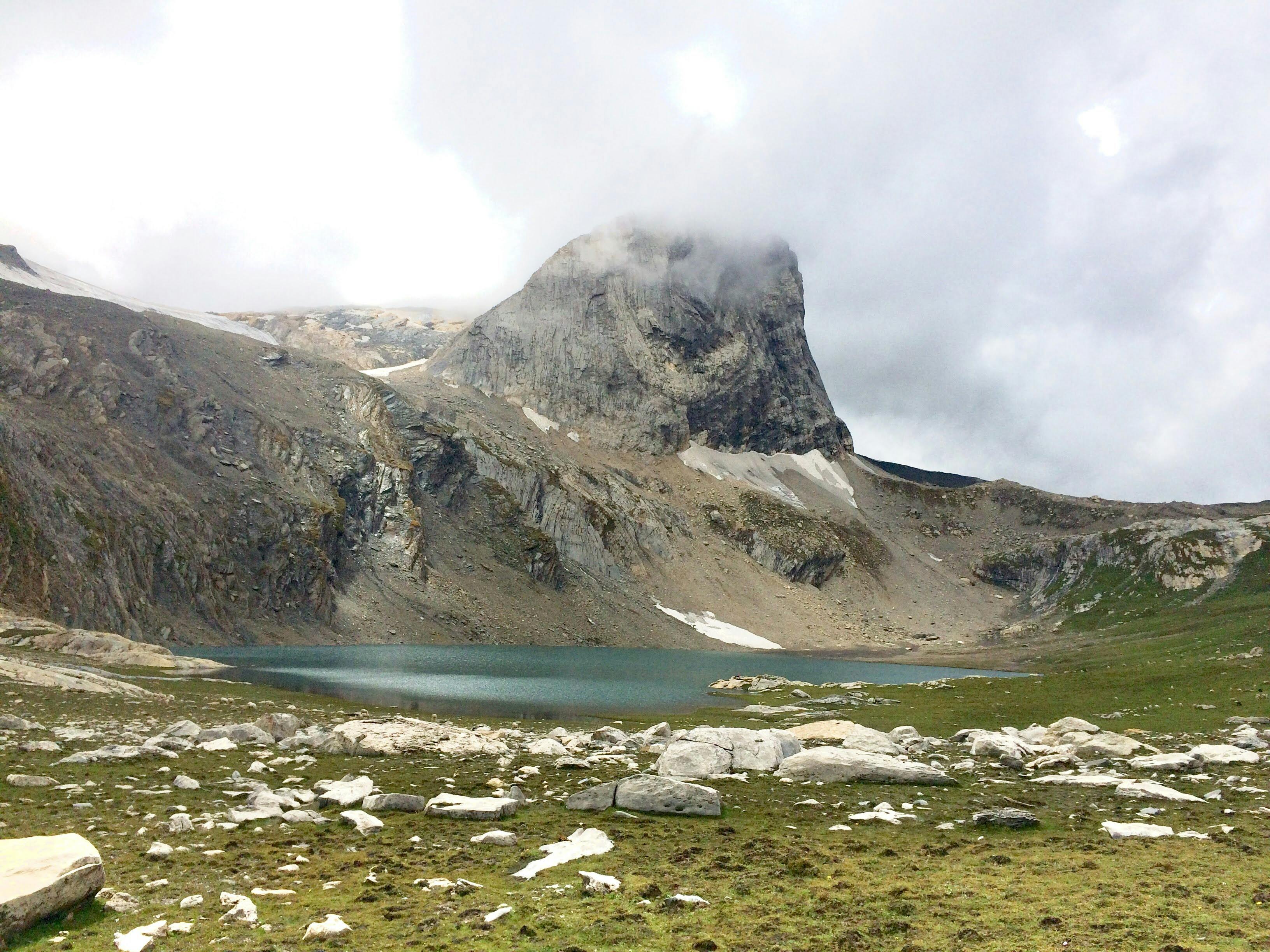 Tree Between Rocks on Green Grass Field · Free Stock Photo