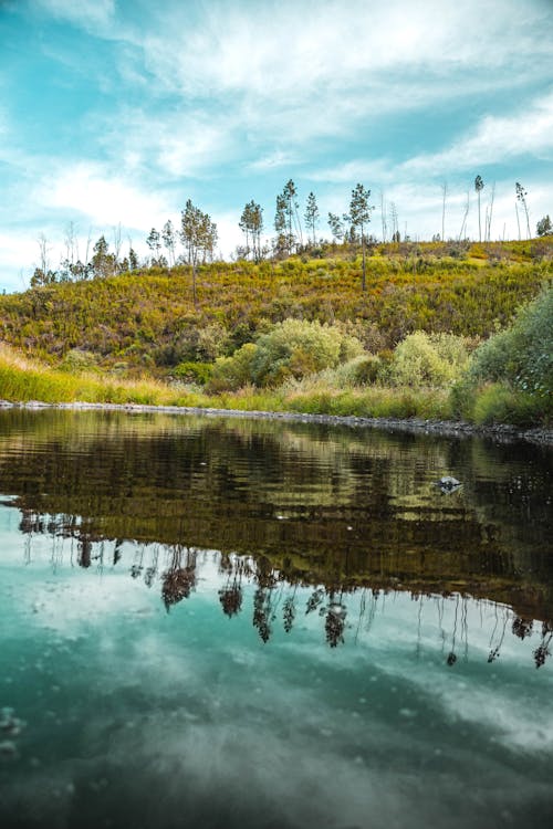 Gratis stockfoto met gras, h2o, kustmeer