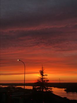 Beautiful orange sunset with a silhouette of trees and a river in Nizhnij Novgorod.