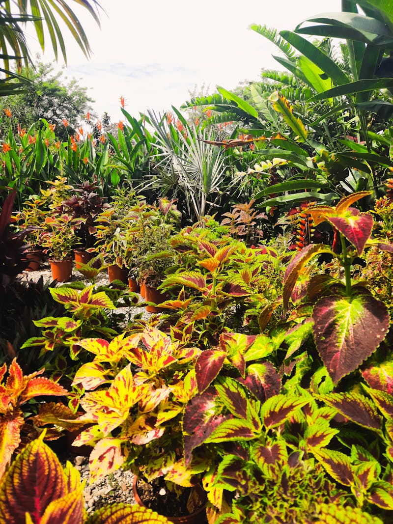 Artist de teatru fizic în mișcare expresivă