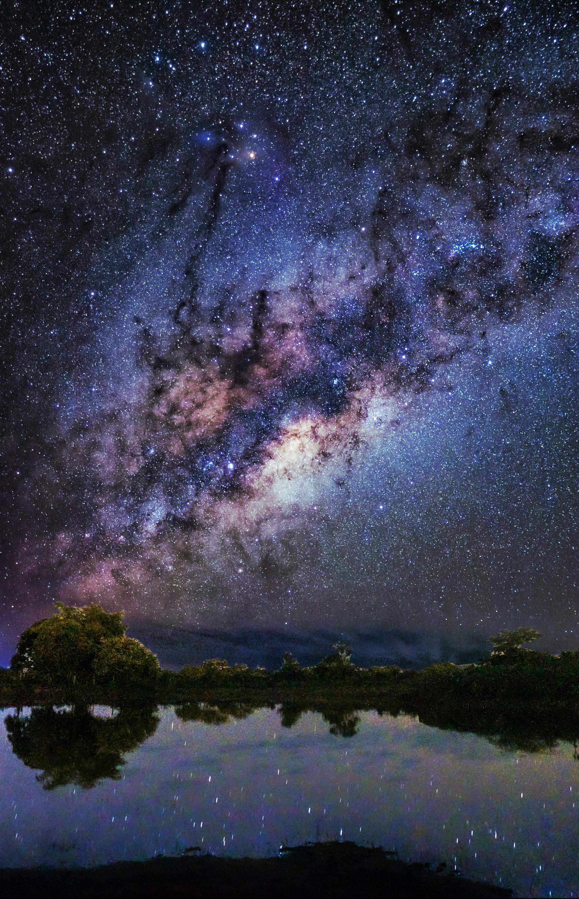 green trees under starry sky with milky way