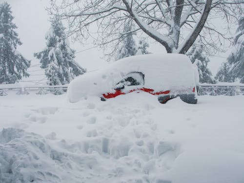 Gratis stockfoto met auto in sneeuw, kufri, manali