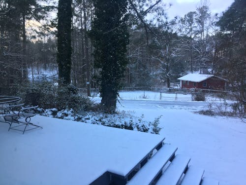 農村的雪 的 免費圖庫相片