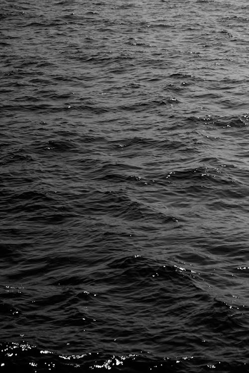 그레이스케일, 바다, 블랙 앤 화이트의 무료 스톡 사진