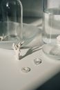 Clear Glass Bowl With White and Brown Giraffe Print