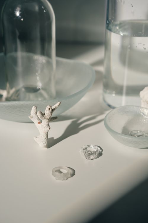 Free A minimalist still life featuring glass objects and white coral on a bright surface. Stock Photo