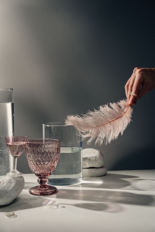 Free Artistic composition featuring glassware, a feather, and reflections on a surface, creating a minimalistic vibe. Stock Photo