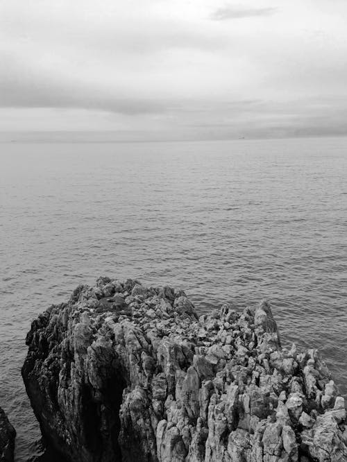 Free Ocean on a Grayscale Photo Stock Photo