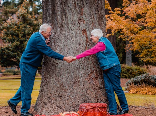 Free Elderly Couple Holding Hands Near Tree Trunk Stock Photo