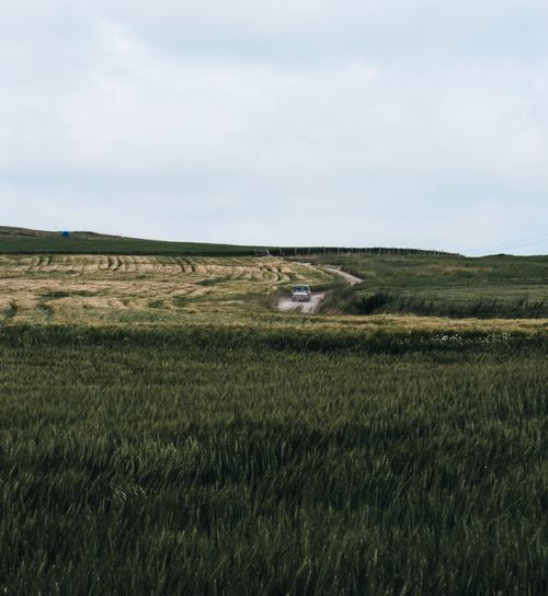 Free Wide view of lush farmland in Kurfallı, Istanbul, showcasing natural beauty and tranquility. Stock Photo