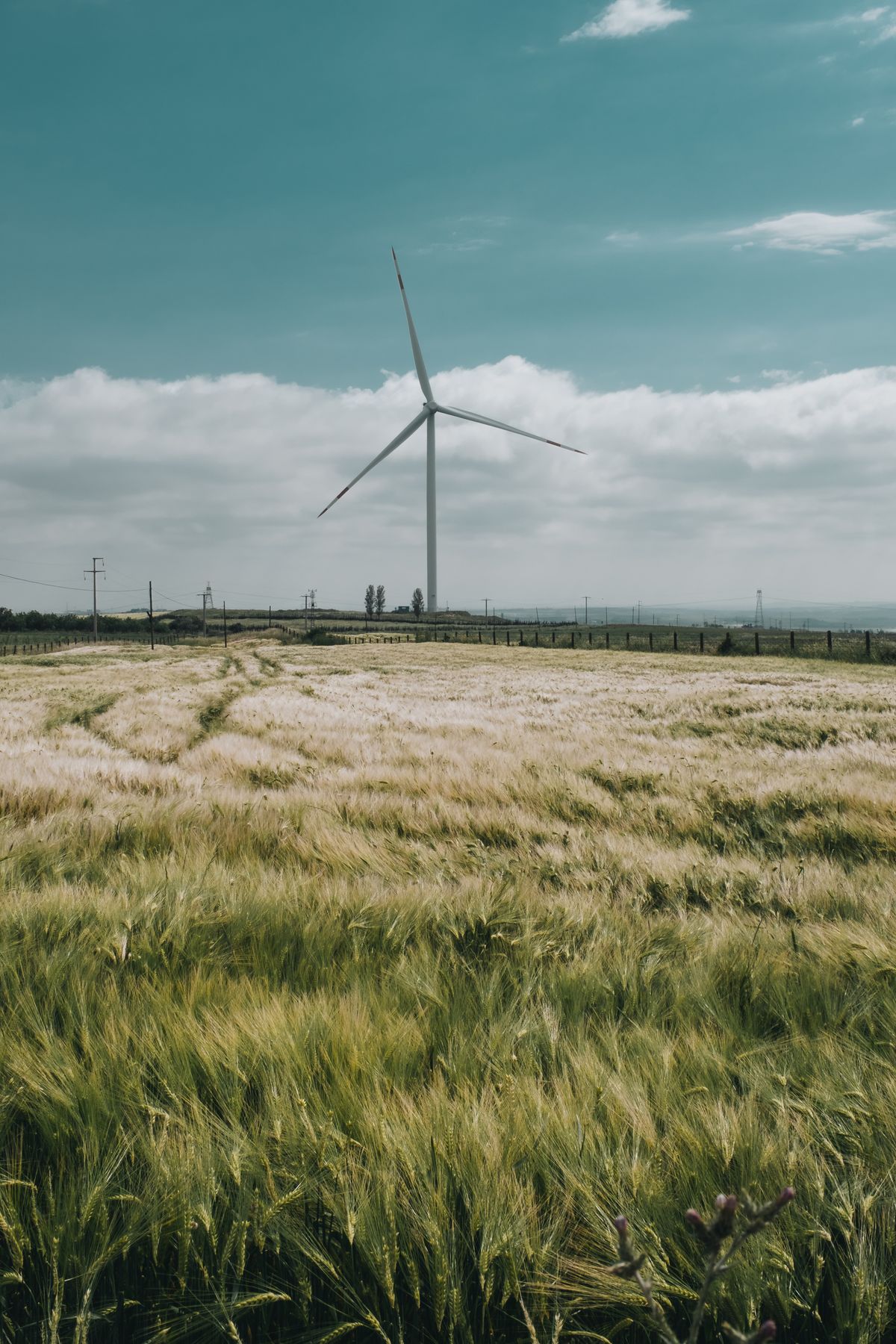 6,000+张最精彩的“Wind”图片 · 100%免费下载 · Pexels素材图片