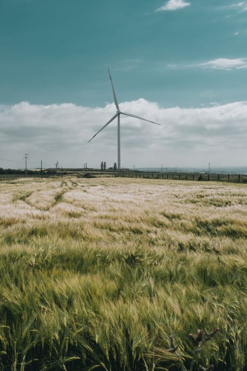 Free A wind turbine stands tall in a grassy field under a clear blue sky, symbolizing renewable energy. Stock Photo