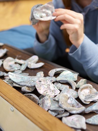 Paua-shell jewellery