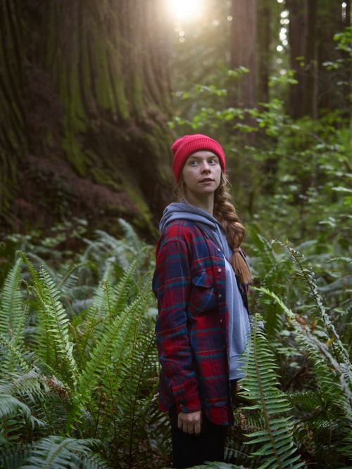 Free Woman in a plaid jacket and beanie standing among lush green ferns in a forest, bathed in natural sunlight. Stock Photo