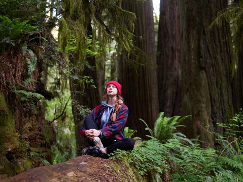 Free Young woman seated on tree trunk, embracing tranquility in a lush rainforest. Stock Photo