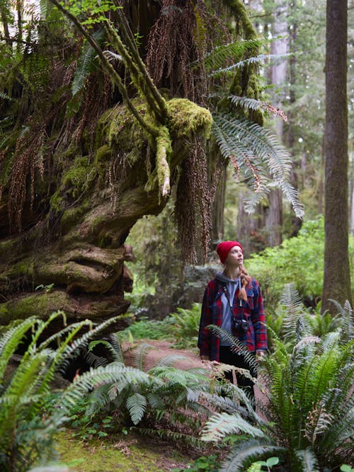 Female Hiker Standing in a Green Lush Forest