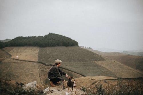 Fotobanka s bezplatnými fotkami na tému croplands, domáce zviera, domáci pes