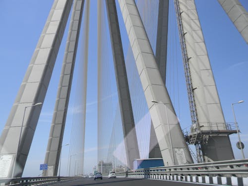 Free stock photo of signature bridge, wired bridge Stock Photo