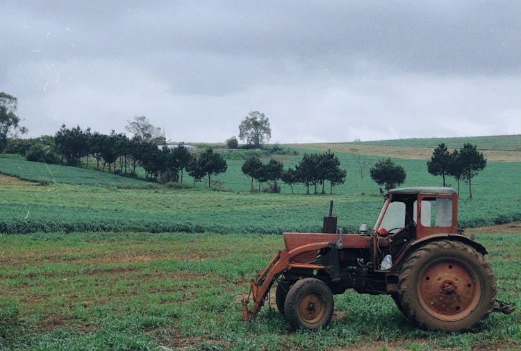 Tractor In Green Field