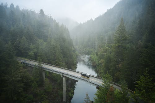 A Concrete Bridge Between Green Trees