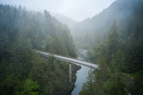 Free A scenic view of a foggy forest with a bridge over a river in Crescent City, CA. Stock Photo