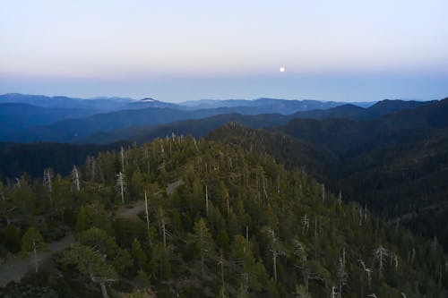 açık hava, ağaçlar, dağ içeren Ücretsiz stok fotoğraf