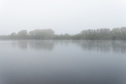 Бесплатное стоковое фото с деревья, озеро, окружающая среда