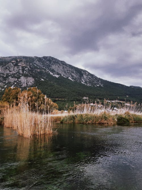 Imagine de stoc gratuită din apă, apă curgătoare, fotografiere verticală