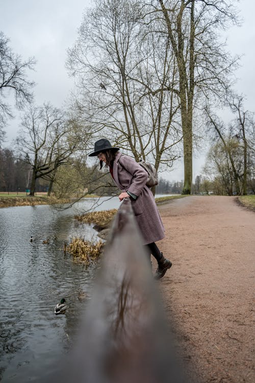 Kostnadsfri bild av bara träd, fedora hatt, flod