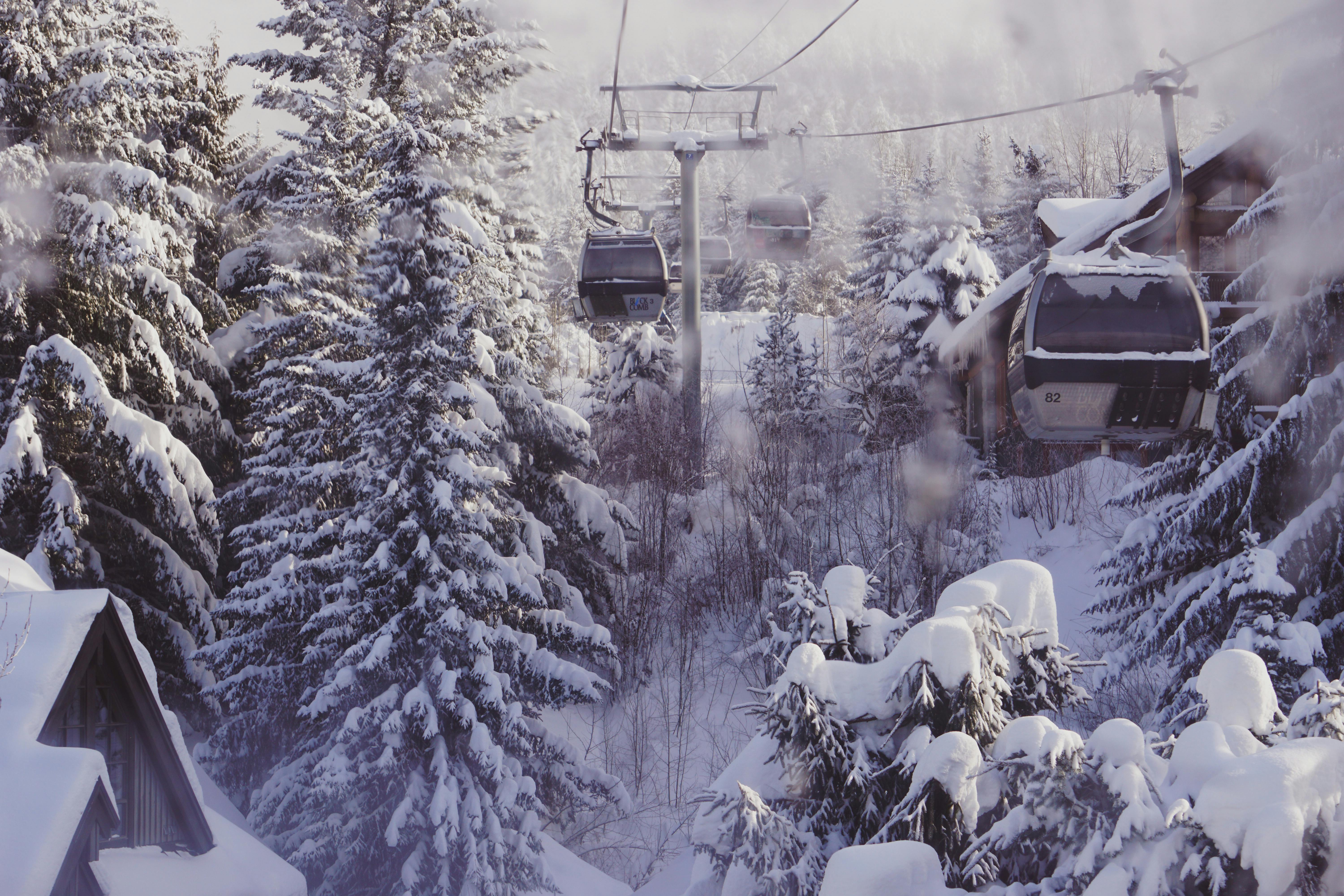 Prescription Goggle Inserts - Cable cars glide over snow-covered trees in a serene winter landscape.