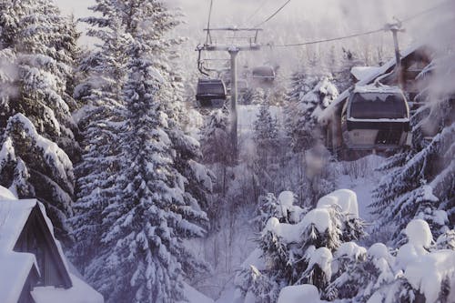 бесплатная Бесплатное стоковое фото с вагон канатной дороги, деревья, зима Стоковое фото