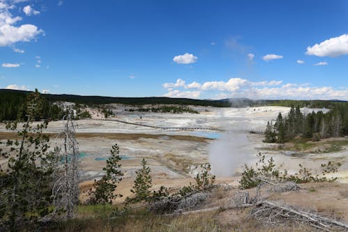 Scenic View of the Norris Geyser Basin in Yellowstone National Park
