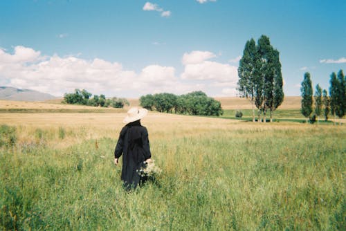 Foto d'estoc gratuïta de caminant, camp d'herba, persona