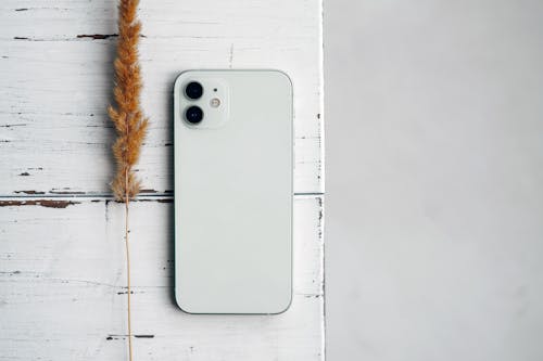 Smart Phone and a Dry Grass Stalk on an Old Wooden Table