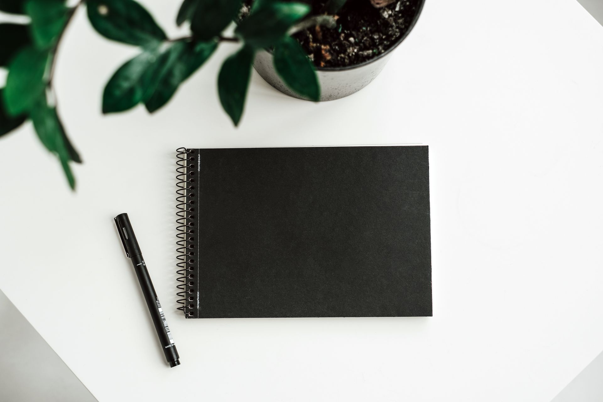 Minimalist flat lay featuring a black notebook, pen, and plant on a white table, perfect for creatives.