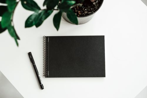Free Minimalist flat lay featuring a black notebook, pen, and plant on a white table, perfect for creatives. Stock Photo