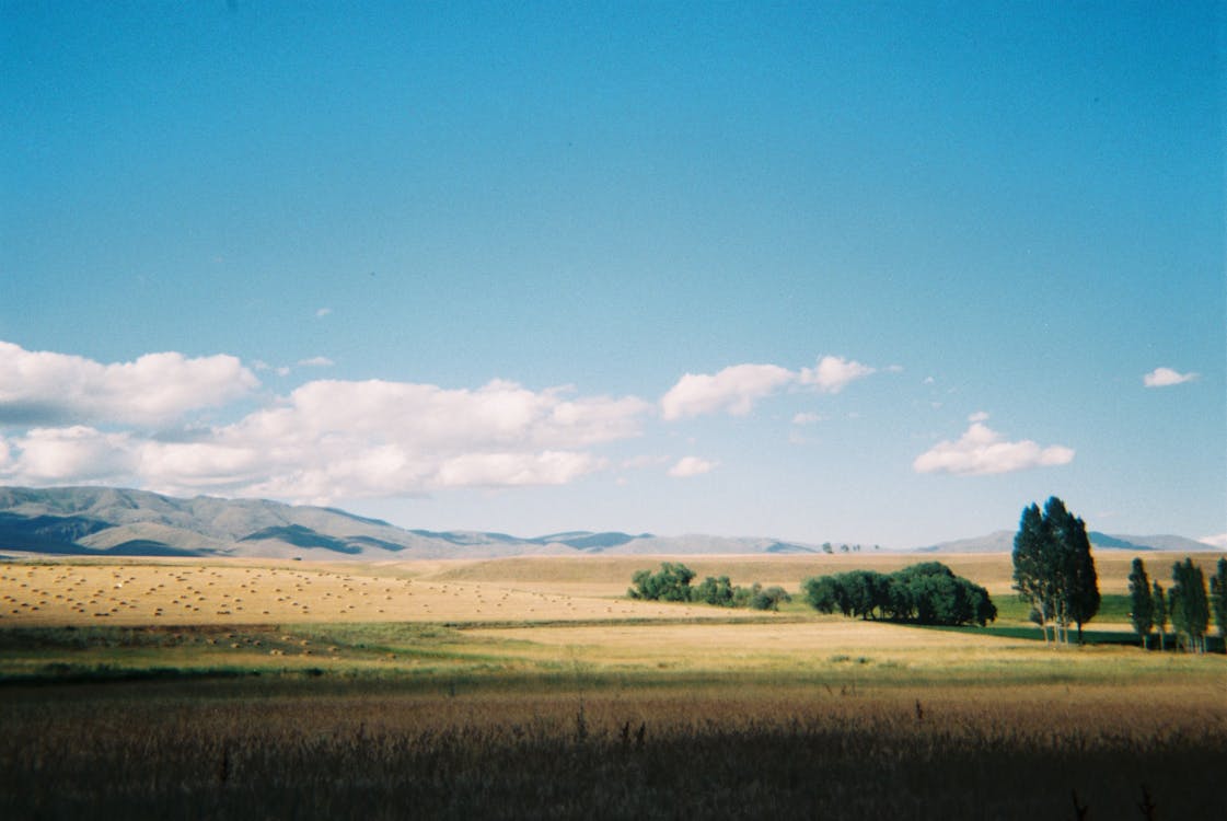 Foto profissional grátis de área, campina, céu azul